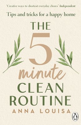 The 5 Minute Clean Routine