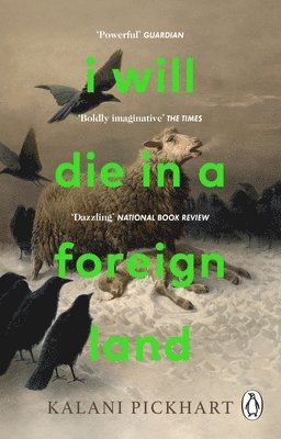 Kalani Pickhart - I Will Die in a Foreign Land, Häftad