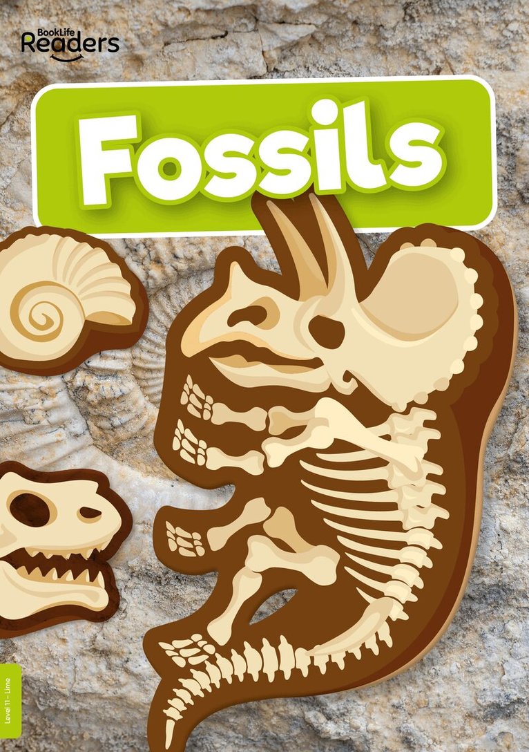 Kirsty Holmes - Fossils, Häftad