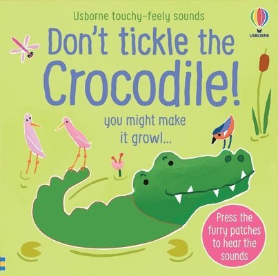 Sam Taplin - Don't Tickle the Crocodile!, Kartonnage