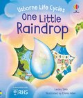 One Little Raindrop