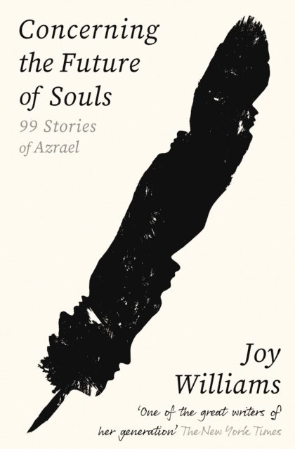 Joy Williams - Concerning the Future of Souls, E-bok
