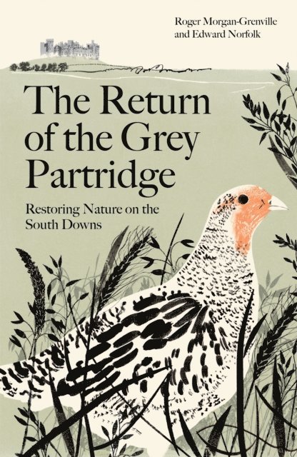 Roger Morgan-Grenville, Edward Norfolk - Return of the Grey Partridge, E-bok