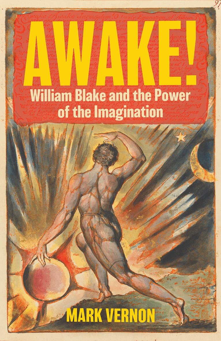Mark Vernon - Awake!, E-bok