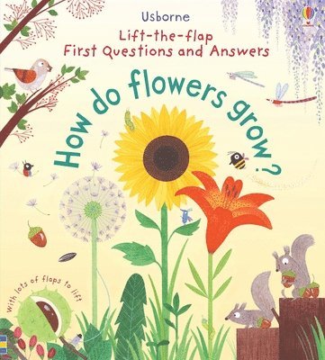 Katie Daynes - First Questions and Answers: How Do Flowers Grow?, Kartonnage