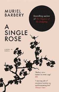 Single Rose