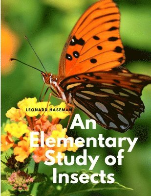 Leonard Haseman - Elementary Study of Insects, Häftad