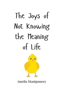 Amelia Montgomery - Joys of Not Knowing the Meaning of Life, Häftad. Tillgänglighet: Tillfälligt slut