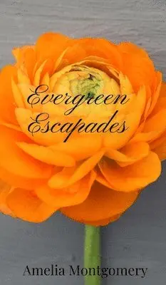 Amelia Montgomery - Evergreen Escapades, Inbunden. Tillgänglighet: Tillfälligt slut