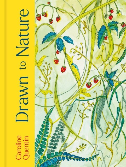 Caroline Quentin - Drawn to Nature, E-bok