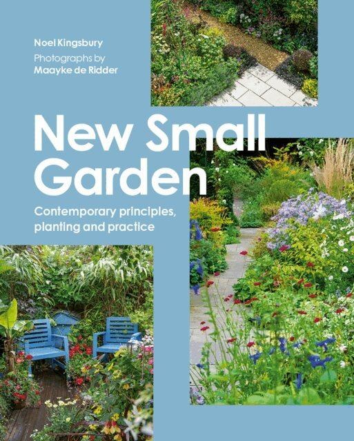 Noel Kingsbury - New Small Garden, E-bok