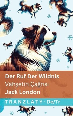Jack London - Ruf der Wildnis / Vahşetin Çağrısı, Häftad