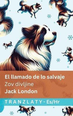 Jack London - llamado de lo salvaje / Zov divljine, Häftad