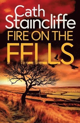 Cath Staincliffe - Fire on the Fells, Häftad. Tillgänglighet: Lägg i varukorg