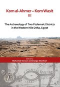 Kom al-Ahmer - Kom Wasit III