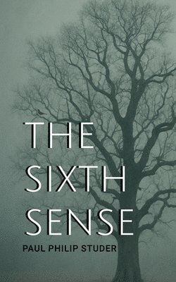 Paul Philip Studer - Sixth Sense, Häftad. Tillgänglighet: Lägg i varukorg