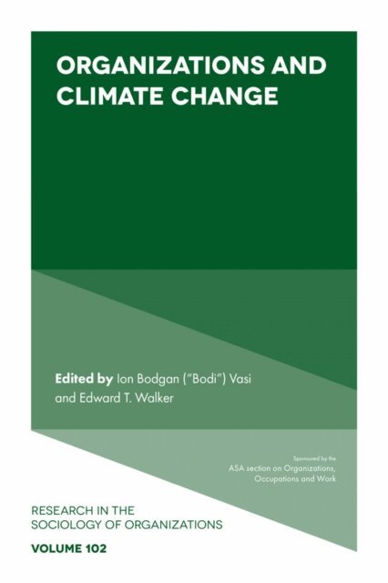 Edward T. Walker, Ion Bogdan Vasi - Organizations and Climate Change, E-bok