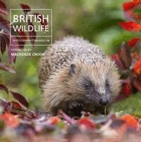 Will Nicholls - British Wildlife Photography Awards 14, Inbunden
