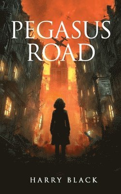 Harry Black - Pegasus Road, Häftad