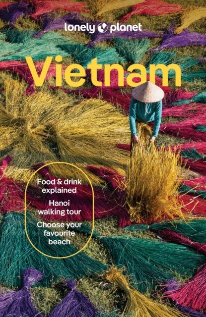 Diana, Truong Thanh Ngoc Vo Thi, Simon Oostveen, Bien Nguyen, Karla Foronda, Ben Engelbach, Joshua Zukas - Lonely Planet Vietnam, E-bok