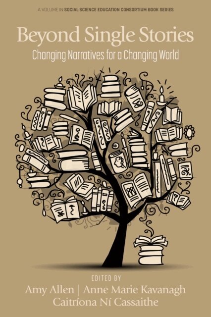 Caitriona Ni Cassaithe, Anne Marie Kavanagh, Amy Allen - Beyond Single Stories, E-bok