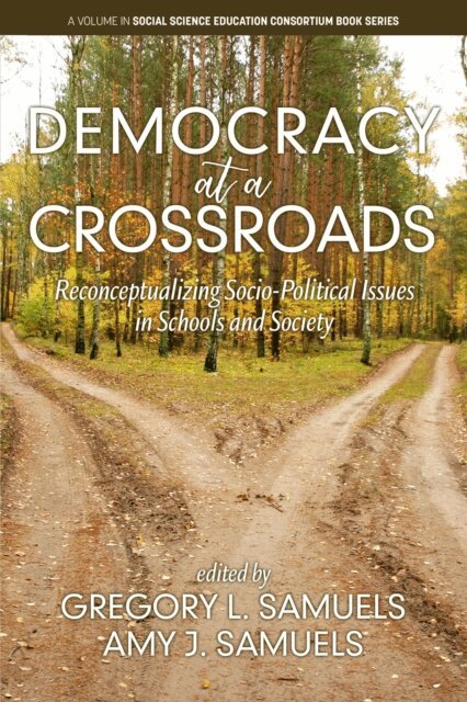Amy J. Samuels, Gregory L. Samuels - Democracy at a Crossroads, E-bok