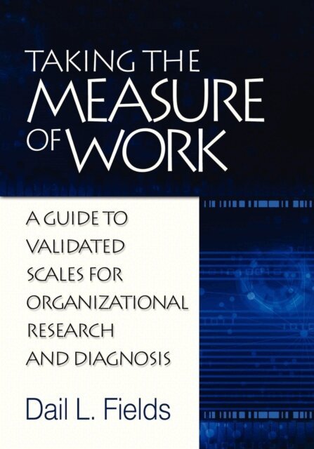 Dail L. Fields - Taking the Measure of Work, E-bok