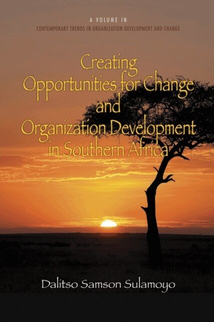 Dalitso Samson Sulamoyo - Creating Opportunities for Change and Organization Development in Southern Africa, E-bok
