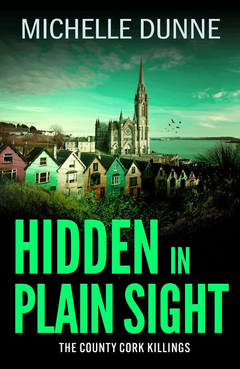 Michelle Dunne - Hidden in Plain Sight, Inbunden. Tillgänglighet: Lägg i varukorg