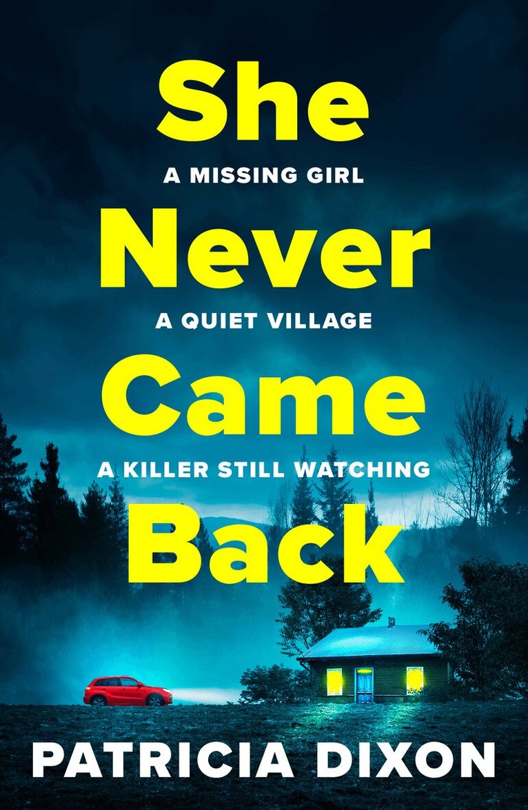 Patricia Dixon - She Never Came Back, Häftad