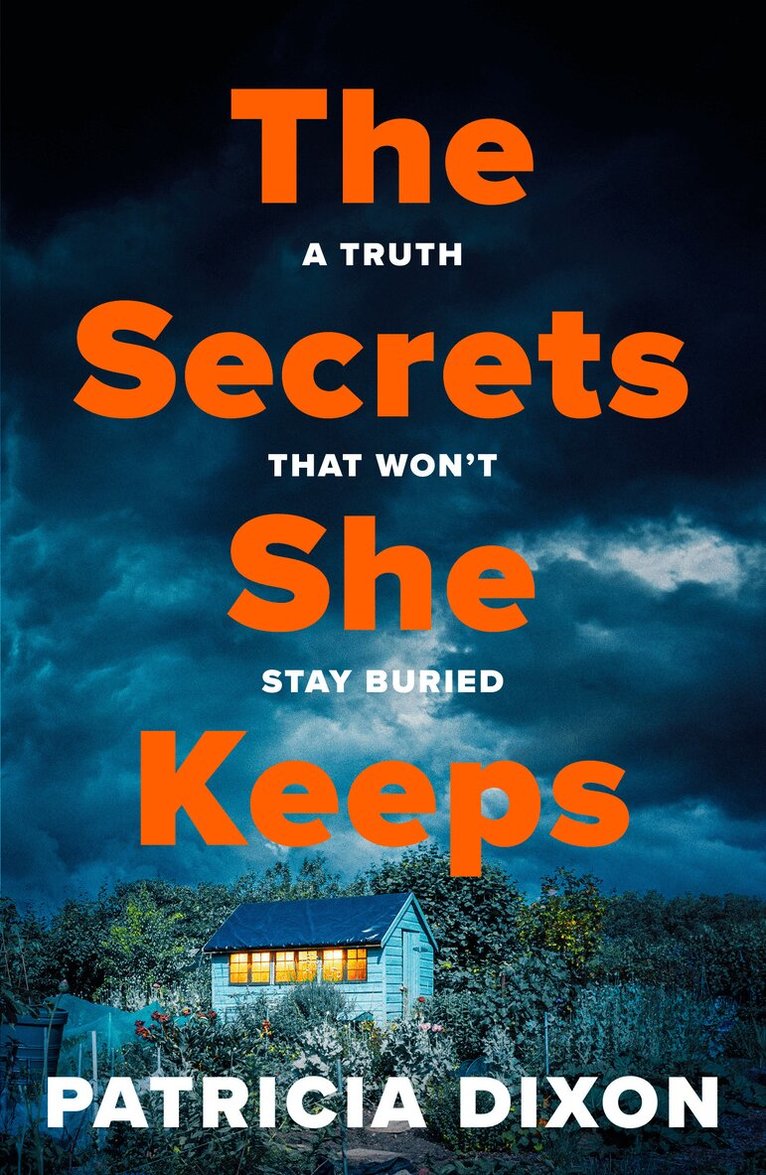 Patricia Dixon - Secrets She Keeps, Inbunden