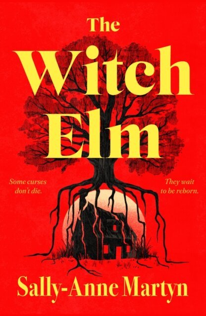 Sally-Anne Martyn - Witch Elm, E-bok