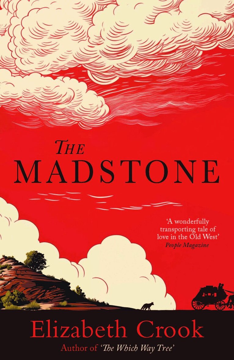 Elizabeth Crook - The Madstone, E-bok