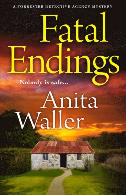 Anita Waller - Fatal Endings, E-bok