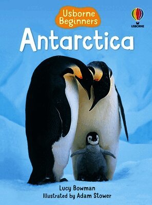 Lucy Bowman - Antarctica (Usborne Beginners), Häftad