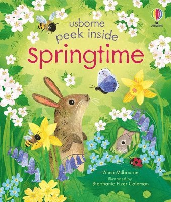 Anna Milbourne - Peek Inside Springtime, Kartonnage