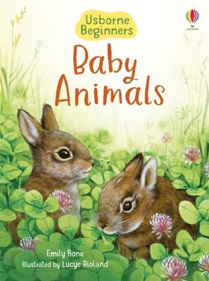 Emily Bone - Baby Animals (Usborne Beginners), Häftad