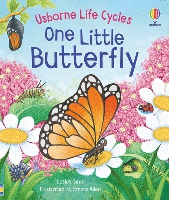 Lesley Sims - One Little Butterfly, Kartonnage