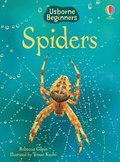 Spiders
