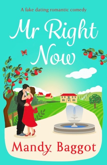 Mandy Baggot - Mr Right Now, E-bok