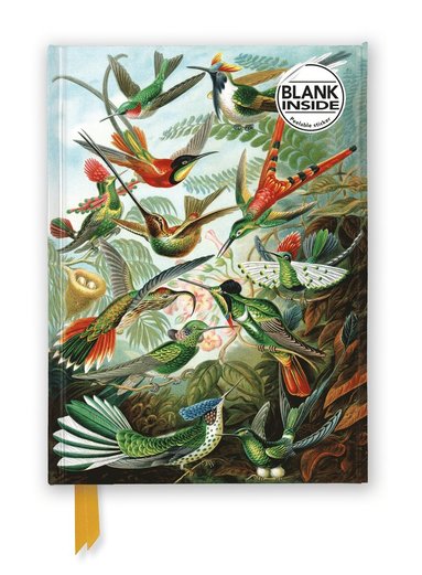 Anteckningsbok A5 olinjerad - Ernst Haeckel : Hummingbirds av Flame Tree Publishing