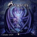 Dragons by Anne Stokes Wall Calendar 2026 (Art Calendar)