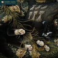 Ivory Cats by Lesley Anne Ivory Wall Calendar 2026 (Art Calendar)