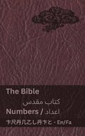 Bible (Numbers) / ???? ???? (?????)