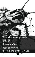 The Metamorphosis / ???