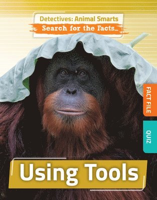 Anne O'Daly - Using Tools, Inbunden