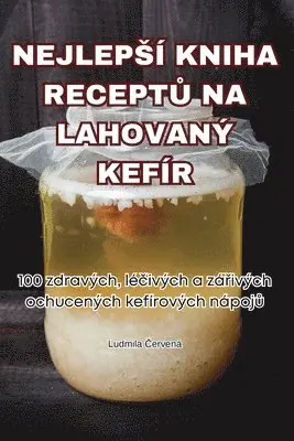 Nejlepsí Kniha ReceptŮ Na Lahovaný Kefír