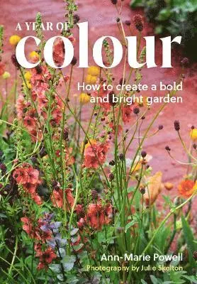 Year of Colour