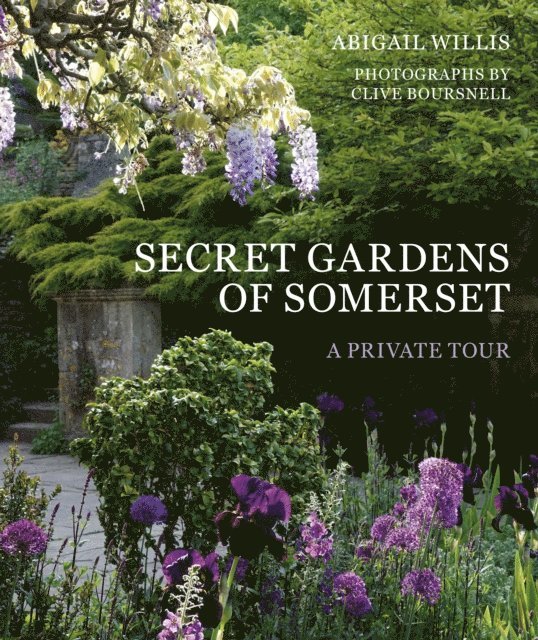 Abigail Willis - Secret Gardens of Somerset, E-bok