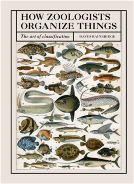 David Bainbridge - How Zoologists Organize Things, E-bok